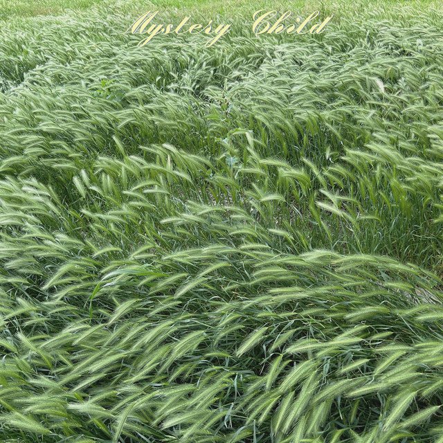In a Quiet Way - Mystery Child